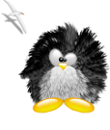 Avatar du membre